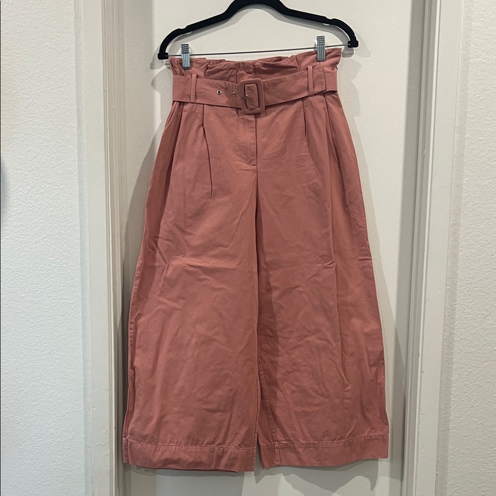 Zara Paperbag Waist Dusty Pink Wide Leg Pants Size Small